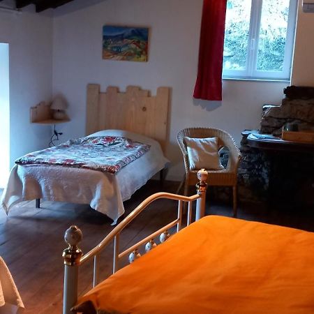 Les Cèdres Bleus de Joany Viviez Esterno foto