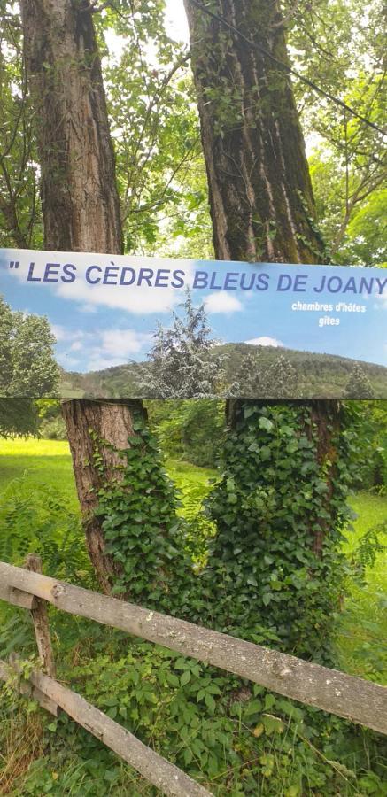 Les Cèdres Bleus de Joany Viviez Esterno foto